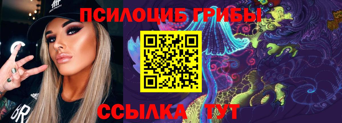 Галлюциногенные грибы Psilocybe Лесозаводск